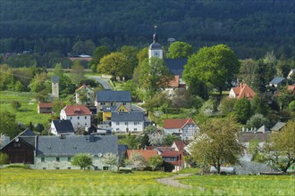 Village view Reinhardtsgrimma