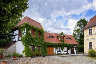 Düben Castle