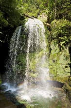 Blackbird Falls in the Amselgrund in Saxon Switzerland