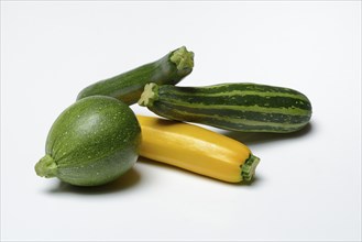 Various courgettes (Cucurbita pepo), courgette convar. giromontiina