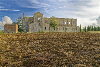 Church ruins of the Cistercian Abbey of San Galgano, Abbazia San Galgano, Gothic, Tuscany, Italy,