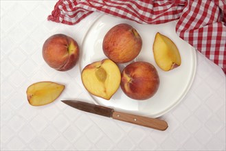 Cut peaches with knife on plate (Prunus persica)