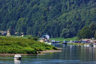 Elbe steamer Pirna in Wehlen