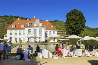 Wackerbarth Castle or Wackerbarths Ruh is a Baroque castle surrounded by vineyards in the