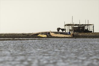 Weltkulturerbe Marschland, in Basra, 10.03.2023