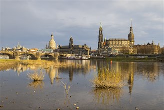 After a rain shower, Dresden's silhouette is illuminated by the low evening sun