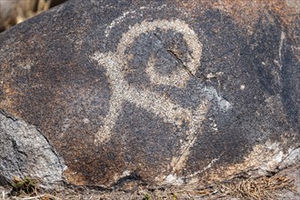 Prehistoric rock rock painting, near Tokmok, Chuy, Kyrgyzstan, Asia