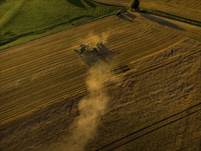 A combine harvester harvests a cereal forest