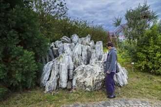 The Forest Botanical Garden Tharandt is an institution of the Technical University of Dresden and