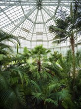 Palm House in Pillnitz Palace Park