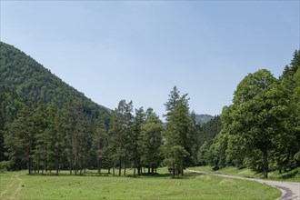 Revuca Valley in the Low Tatras National Park. Liptovska Osada, Zilinsky Kraj, Slovakia, Europe