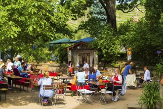 Open Winery Day in Saxony The winery is located in Radebeul in Oberlössnitz, at the foot of the