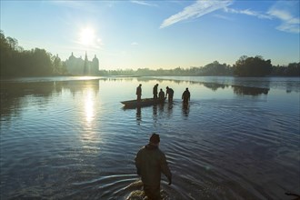 Fishing of the castle pond in Moritzburg