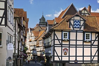 Half-timbered houses in the old town, Deutsche Fachwerkstrasse, Hann. Münden or Hannoversch Münden,