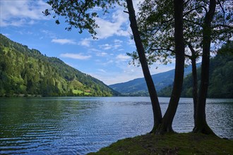 Alpine lake, tree, sky, clouds, summer, Afritz am See, Villach, Carinthia, Austria, Europe