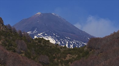 Peak, Forest, Slopes with snow, Etna, Volcano, Eastern Sicily, Sicily, Italy, Europe