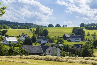 Selva in the Ore Mountains