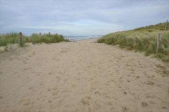 Beach access, sand dune, sea, dune grass, clouds, Zandvoort, North Sea, North Holland, Netherlands