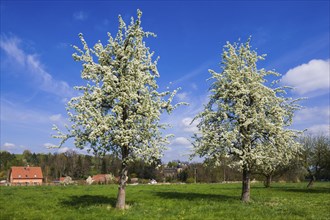 Landscape near Zuschendorf with country castle