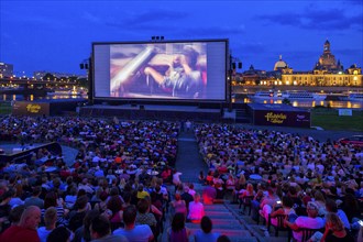 Film Nights on the banks of the Elbe