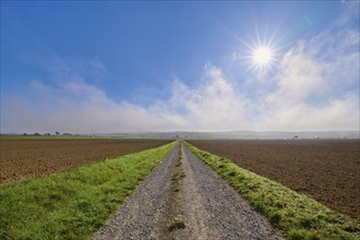 Gravel path, field landscape, sky, clouds, sun, autumn, beeches, Odenwald, Baden-Württemberg,