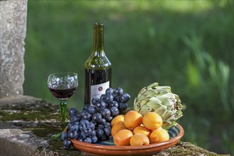 Still Life with with Fruit Bowl and Red Wine, Provence, France, Europe