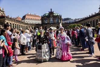 Return of the oranges from their winter quarters to the Dresden Zwinger