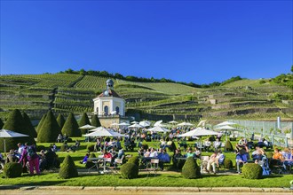 Winery Wackerbarth Castle