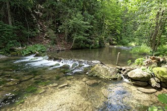 The Revuca mountain stream in the Low Tatras National Park. Revuca Valley, Liptovska Osada,