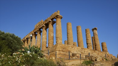 Columns, chapter, entablature, Hera temple, blue sky, late afternoon light, valley of the temples,