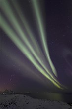 Northern Lights (Aurora borealis) in stripes over the bird cliff of Bleik, Vesteralen, Norway,