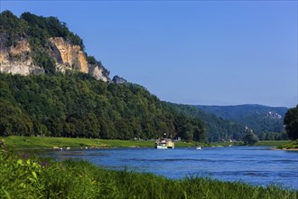 Elbe steamer Pirna in Wehlen