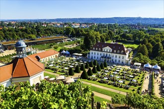 Wackerbarth Castle or Wackerbarths Ruh is a Baroque castle surrounded by vineyards in the