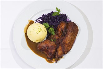 Duck with red cabbage and dumplings