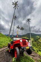 Old Willys jeep in the Cocora valley, Unesco site coffee cultural landscape, Salento, Colombia,