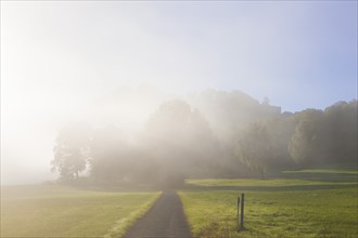 Königstein Fortress