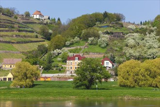 Elbe at the Boselspitze