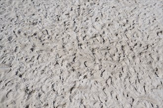 Beach Volleyball, Sand court, Summer, Lake Millstatt, Millstatt, Carinthia, Austria, Europe