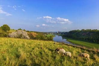 Elbe Valley near Meissen