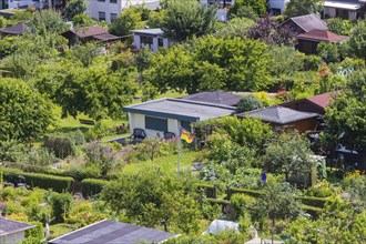 Allotment garden association Obere Südhöhe-Zschertnitz e.V.