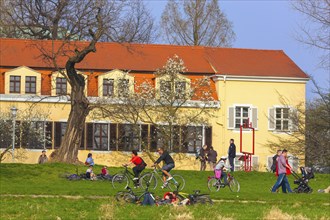 Spring on the Königsufer in Dresden