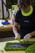 Moss Moss Manufacture