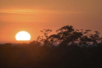 Sunrise over Adolpho Ducke Forest Reserve, Manaus, Amazonia State, Brazil, South America