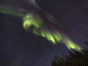 Colourful Northern Lights with the constellation Big Dipper and Polaris