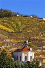 Wackerbarth Castle or Wackerbarths Ruh is a Baroque castle surrounded by vineyards in the