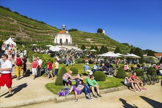 Wackerbarth Castle or Wackerbarths Ruh is a Baroque castle surrounded by vineyards in the