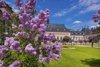 Pillnitz in spring