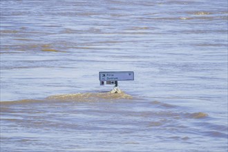 Floods in Dresden