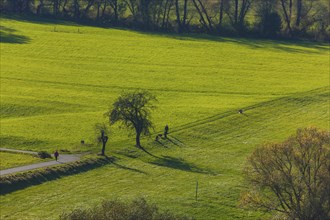 Diesbar Seusslitz Elbauen