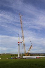 Erection of a new giant wind turbine in Voigtsdorf. with 80-metre-long plastic rotor blades